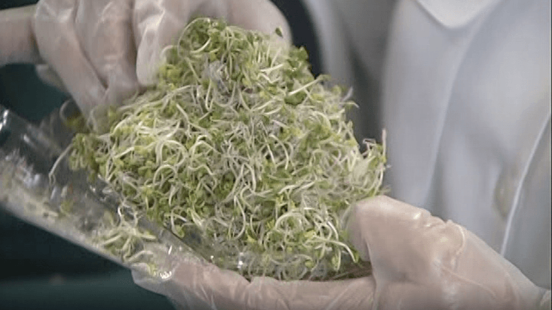 Sprouts: The Health Food Hazard