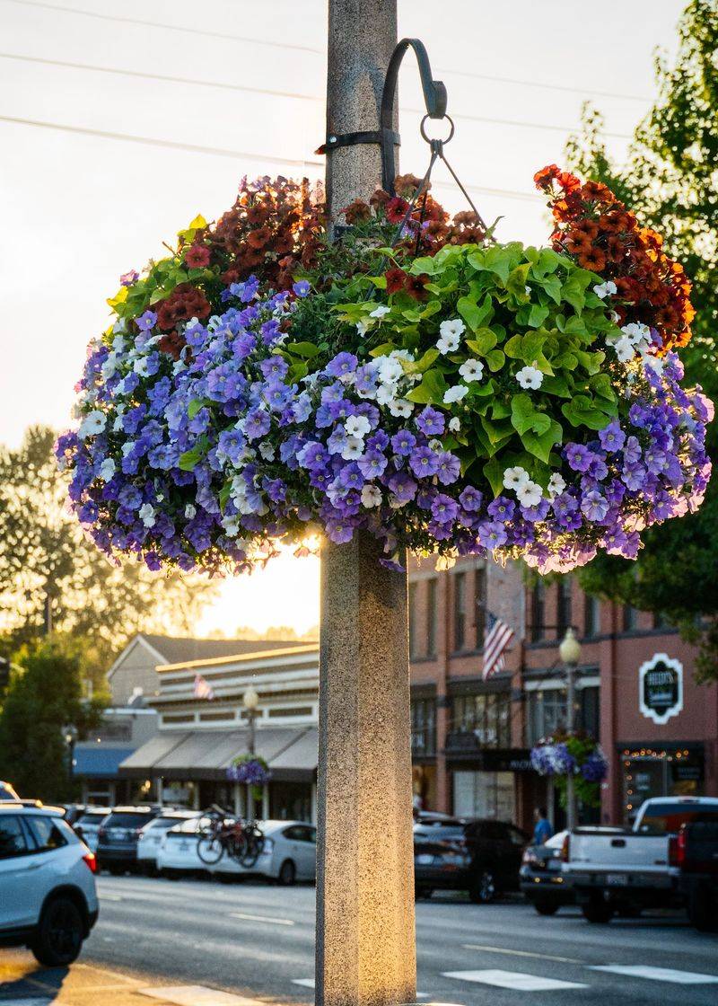 Flower Baskets, Murals, and Small-Town Warmth