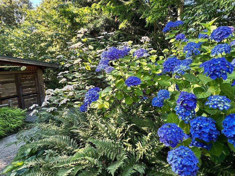 Flower Beds That Change With Every Season Flower Beds That Change With Every Season