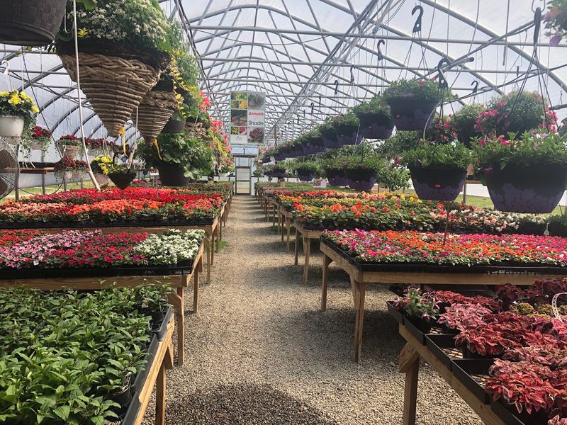 Flowers, Seedlings, And A Sweet Send-Off