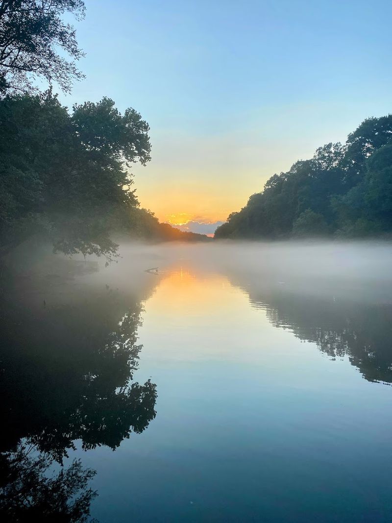 Photographing The Fog Felt Like Chasing A Ghost