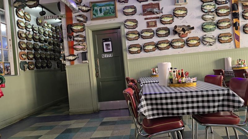 Flying Fish, Little Rock