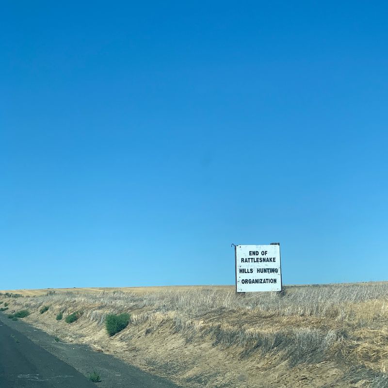 Fog, Heat, and Desert Weather
