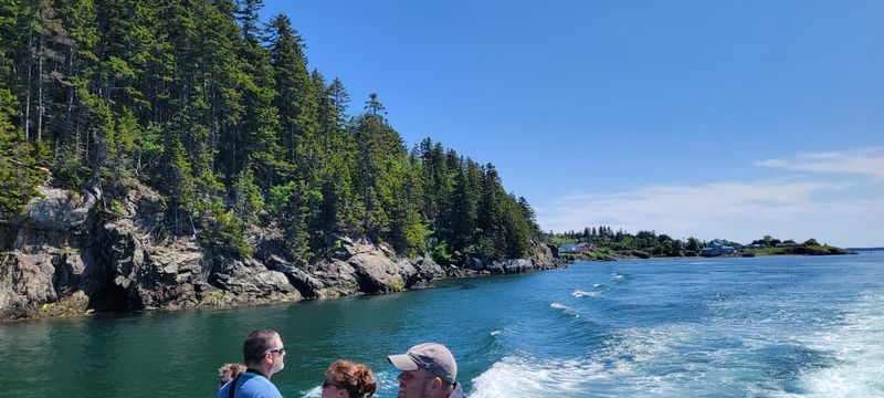 Whale Watching In Passamaquoddy Bay