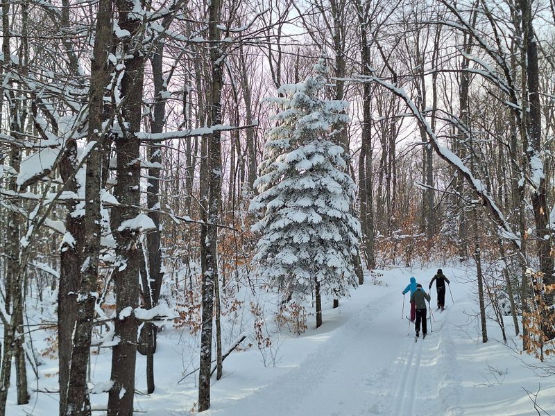 Valley Spur Ski Trail, Munising