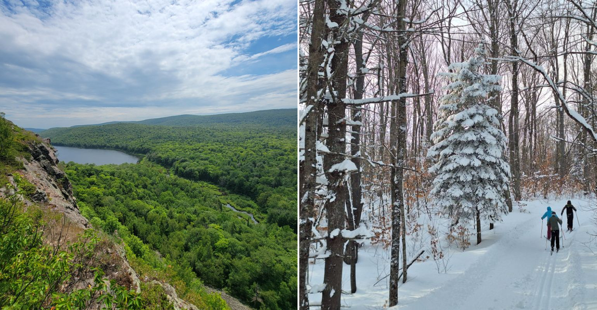 Discover the Enchanting Snowy Trails in Michigan’s Wilderness This Winter