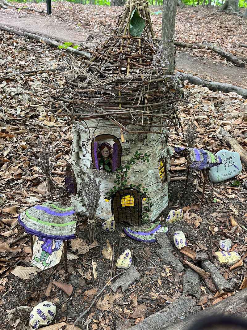 Follow The Fairy Trails Through The Woods