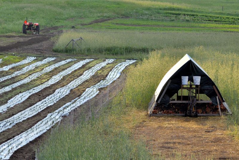 Follow The Farm's Bigger Purpose