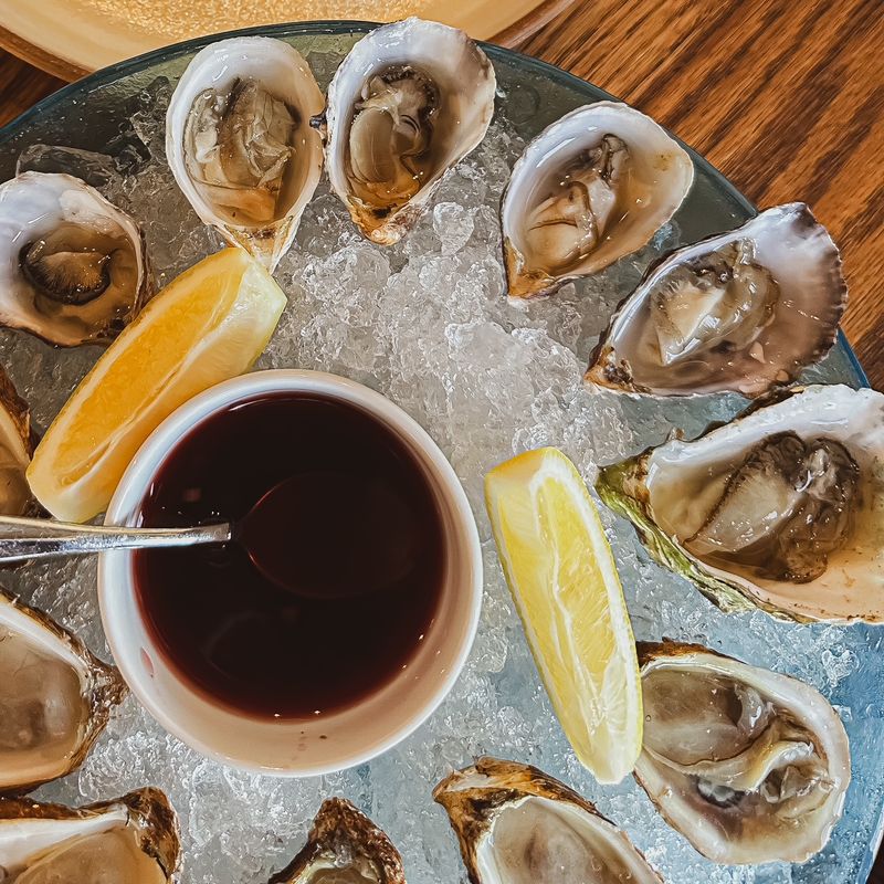 Follow The Freshest Catch