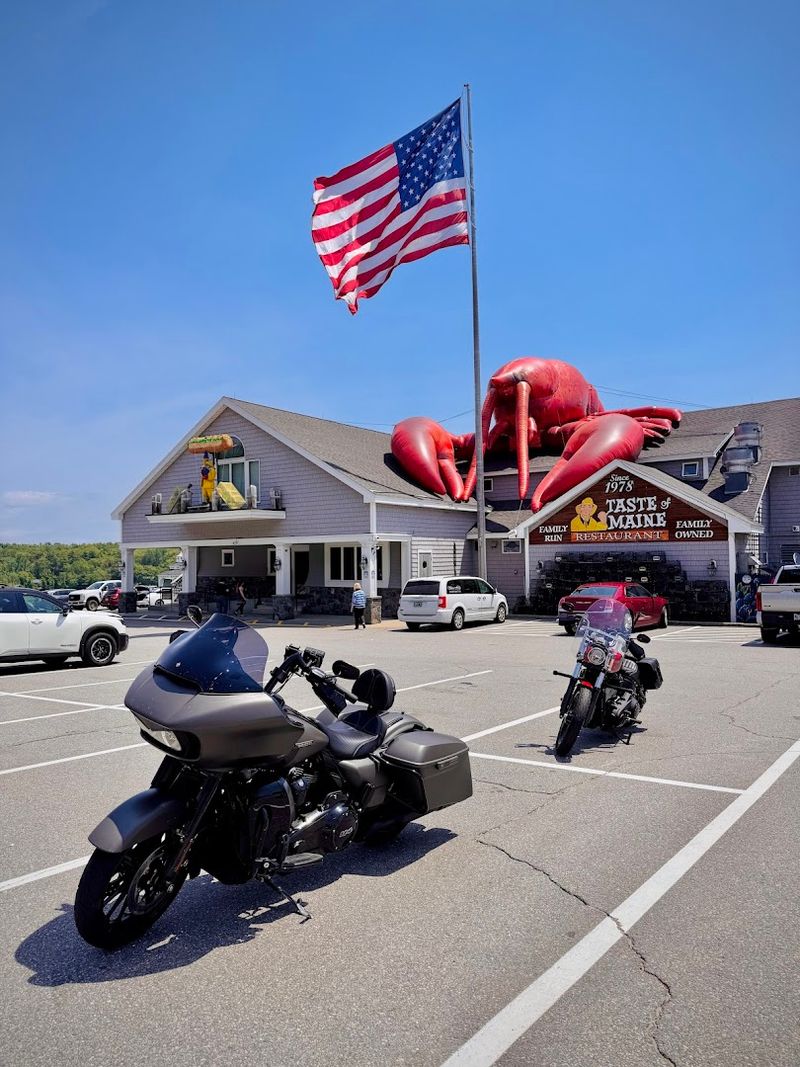 Follow The Giant Lobster Follow The Giant Lobster
