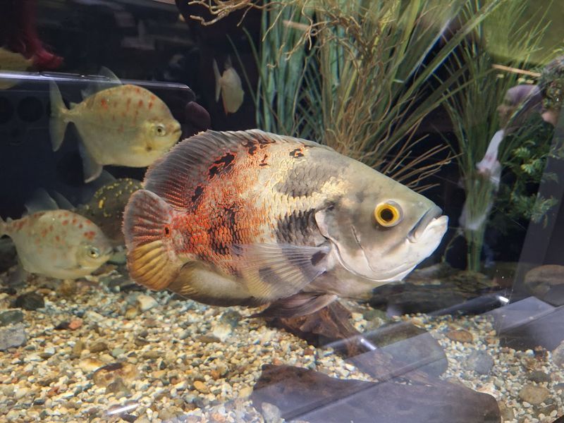 Explore Detroit River Connections