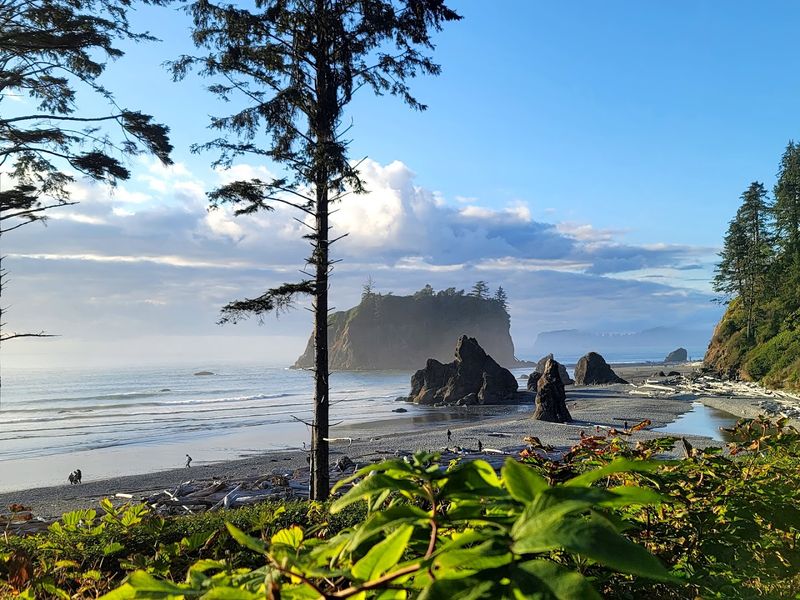 Follow The Olympic Peninsula Toward Wilder Coastal Views
