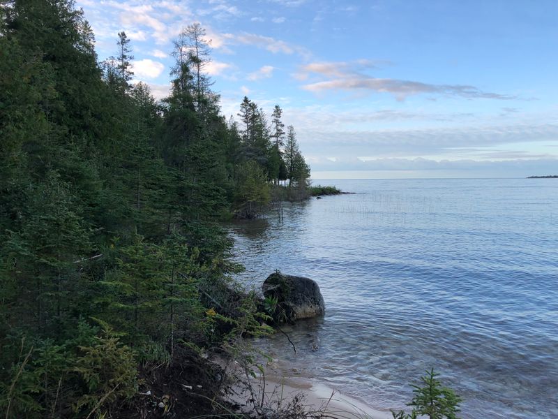 Embrace The Cedar Shade And Lake Breeze