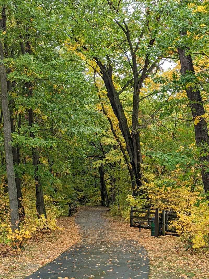Follow The Paved Trails