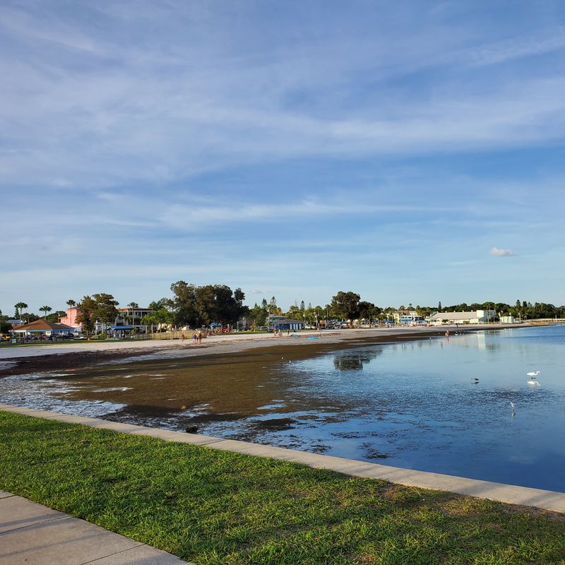 Eat Where Color Meets Comfort