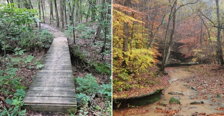 Follow This Illinois Trail To Uncover Ancient Petroglyphs In The Forest