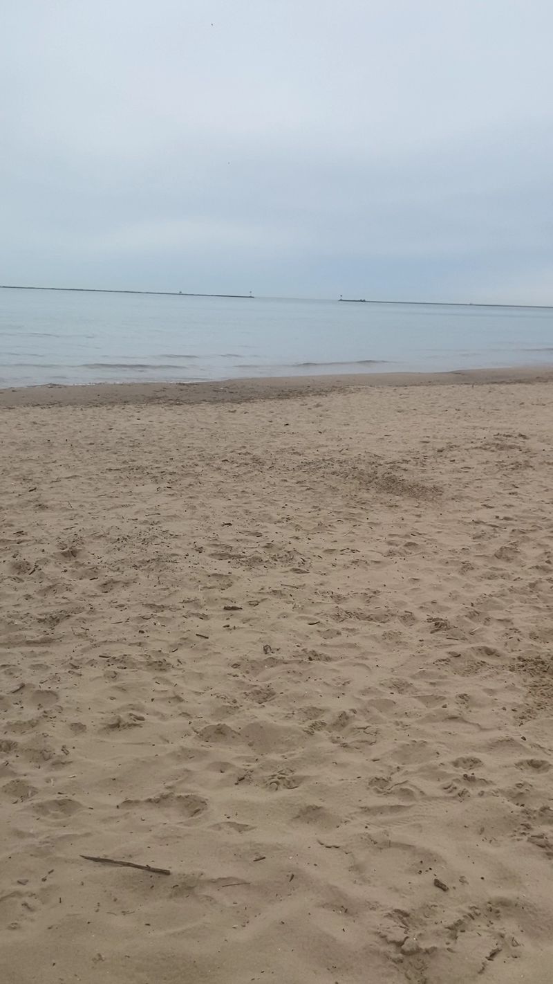 Follow marked trails toward the public shoreline
