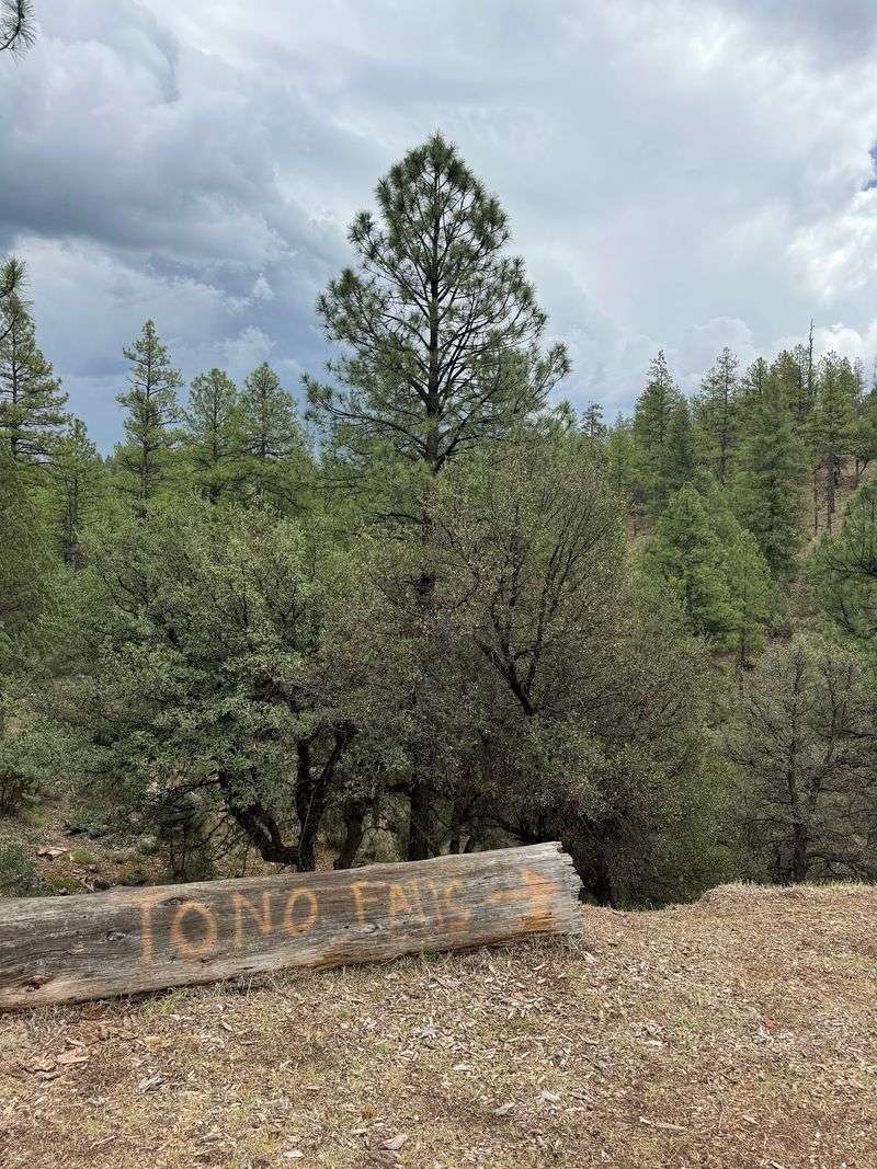 Following Blue Blazes And Two Logs