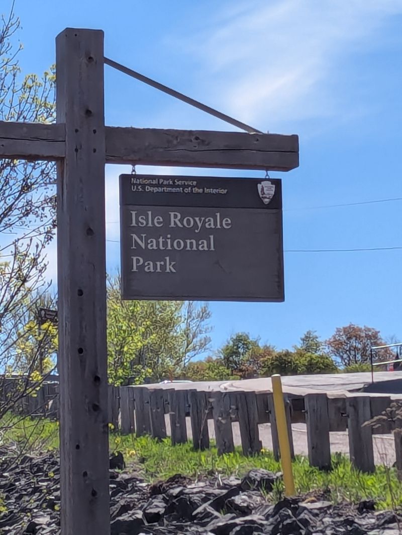 Moose, Wolves, And Your Footsteps