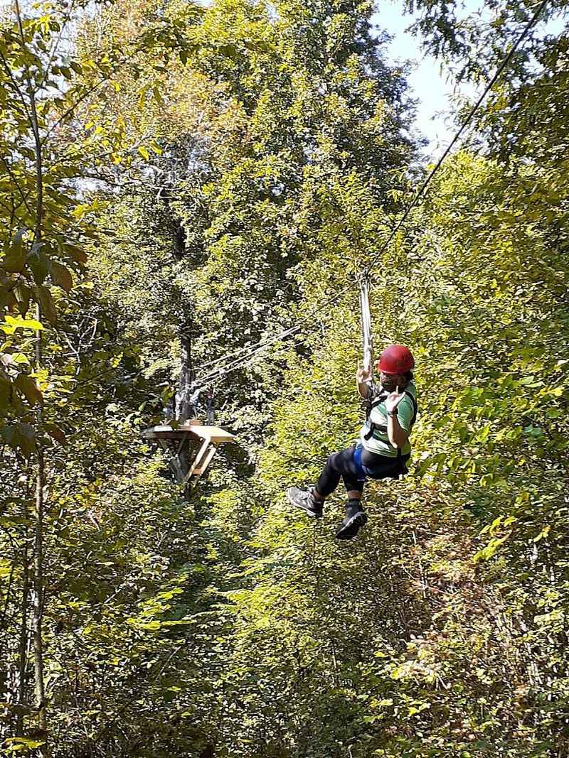 Following The Canopy Through The Wilderness