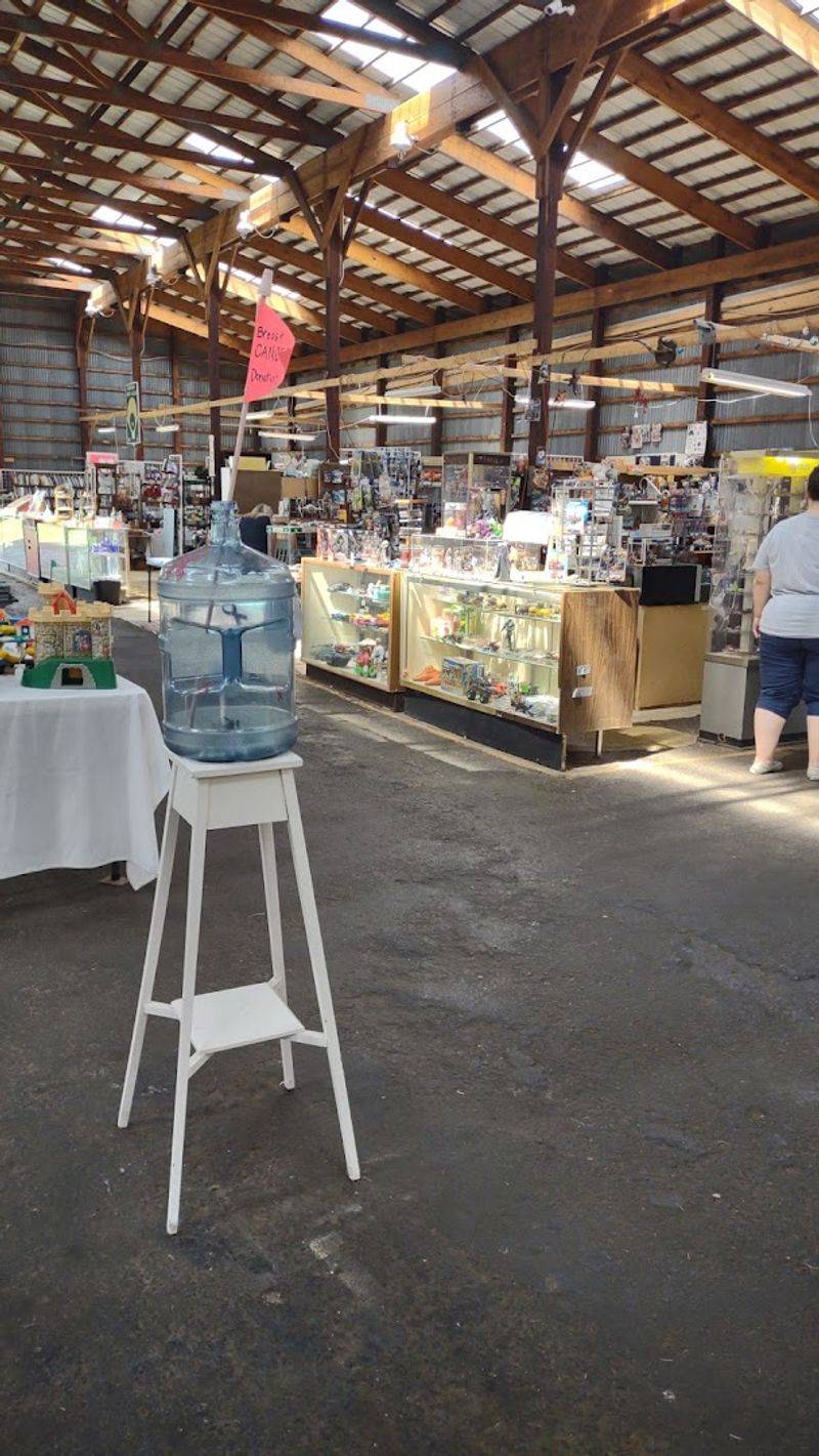 Light, Air, And Pace