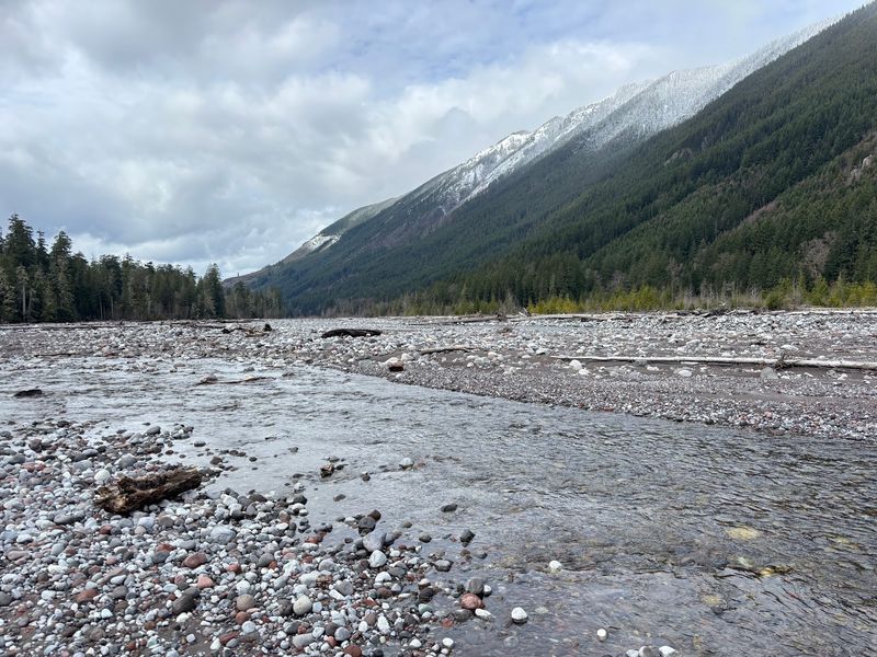 Following the Glacier-Fed Carbon River