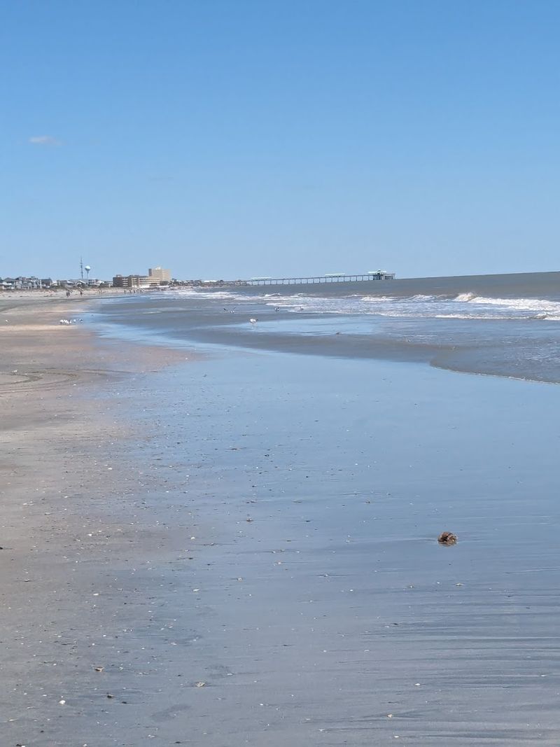 Folly Beach County Park, Folly Beach