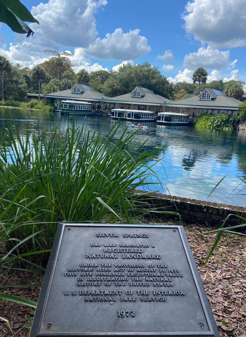 Best Times To Beat The Crowds