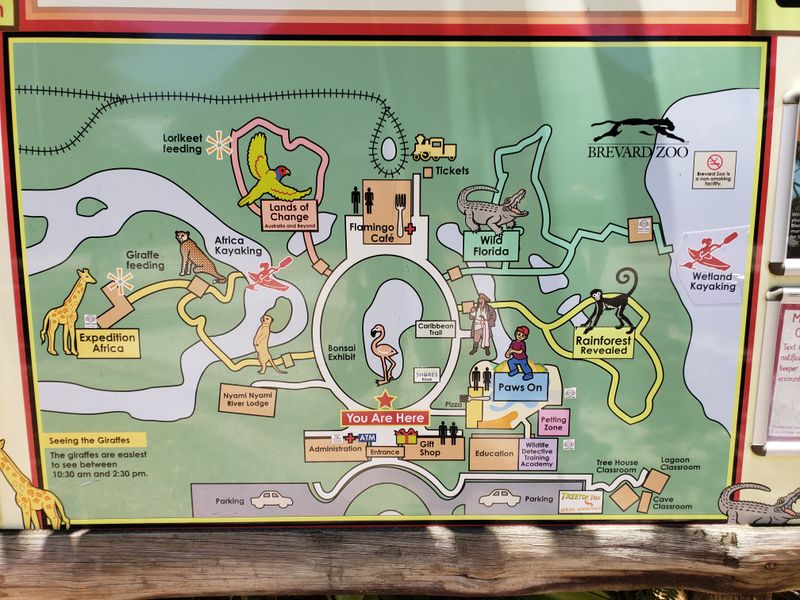 Practical Magic: Hours, Tickets, And Parking