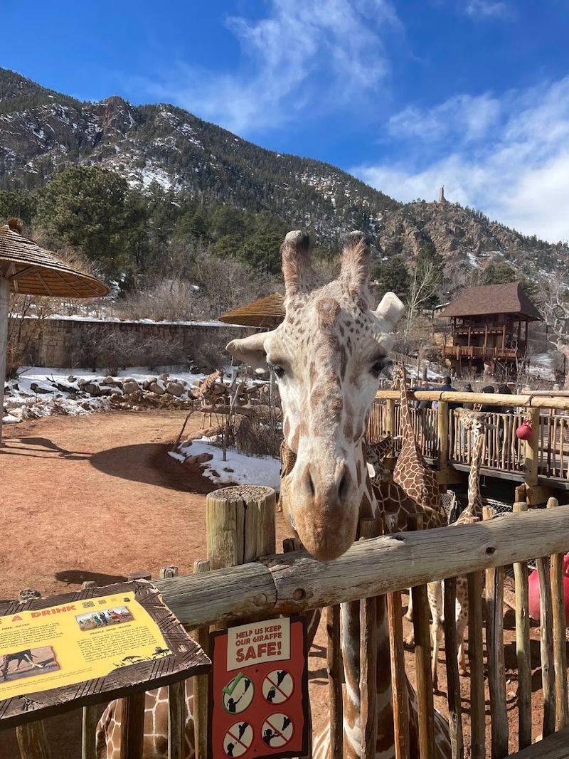 Final Verdict: Plan the Visit, Buy Tickets Early, and Go