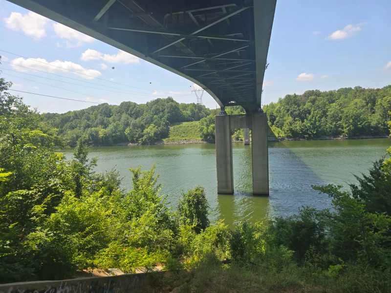 Green Spaces That Reset Your Pulse