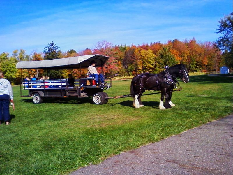 Seasonal Events That Keep Guests Coming Back