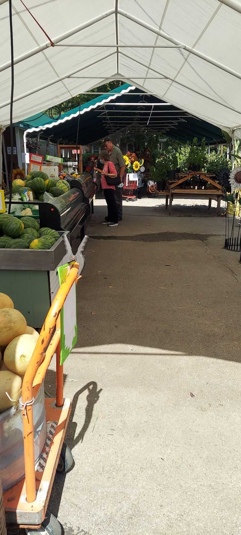 Food Trucks And Farm Cooking Keep You Fed