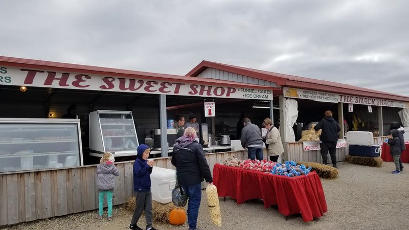 Food Trucks And Outdoor Fun Food Trucks And Outdoor Fun