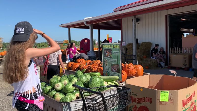 Food Trucks, Live Music, And Weekend Events