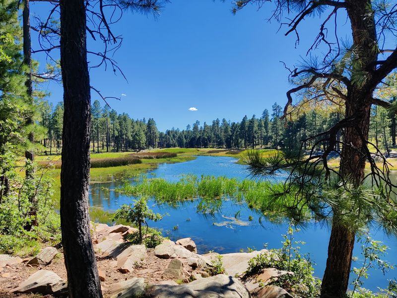 Fool Hollow Lake Recreation Area Near Show Low
