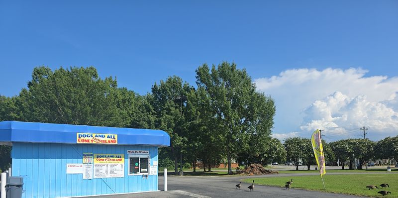 Coney Island Dogs & Burgers