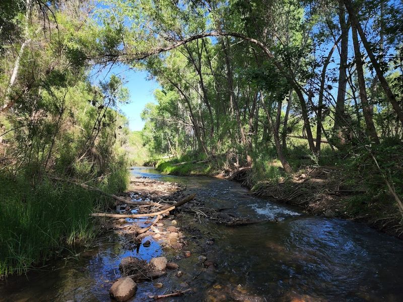 Lime Kiln And Raptor Trails, Dead Horse Ranch State Park