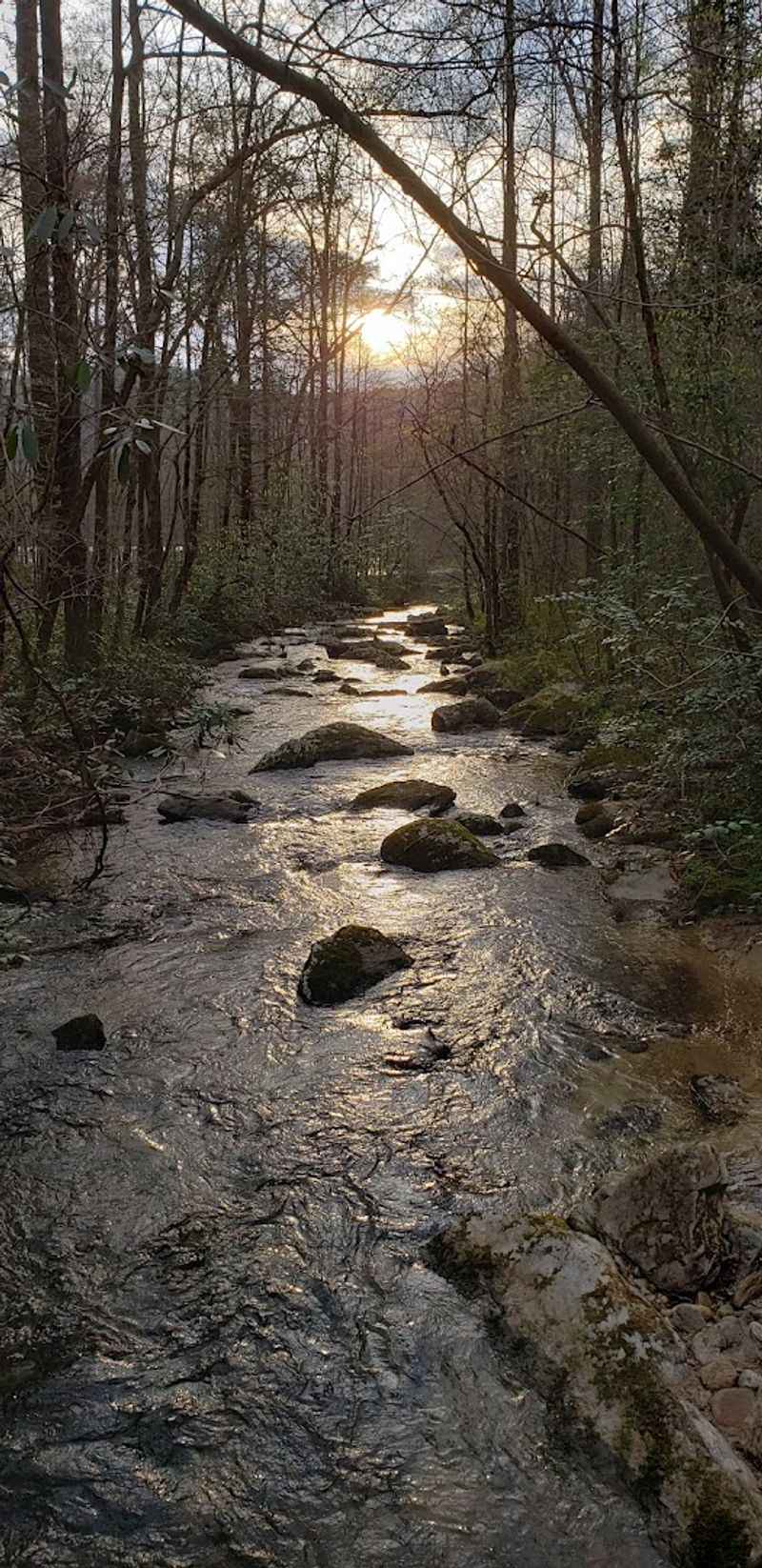 Foothills Trail Long-Distance Hiking
