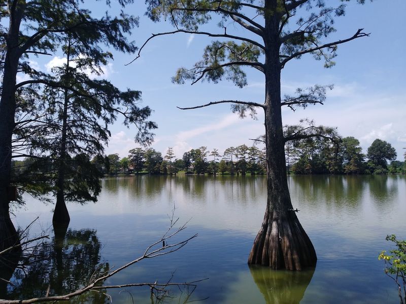 Why This Walk Stays With You Long After Dark