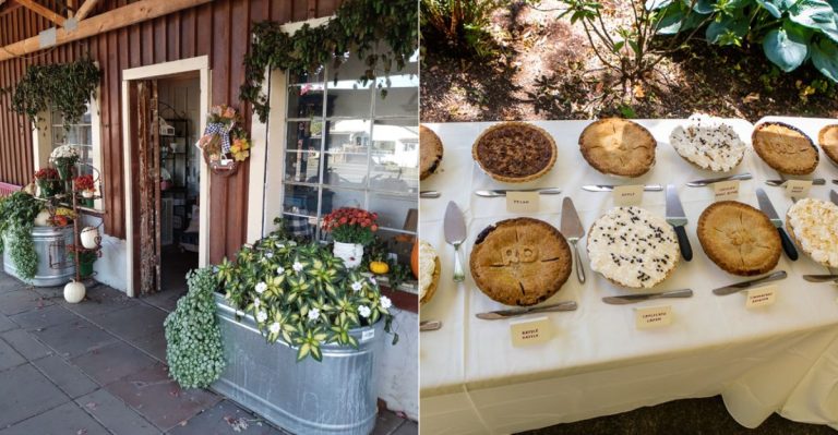 For Marionberry Pie Lovers, This Oregon Bakery Is A Must-Stop On Any Road Trip
