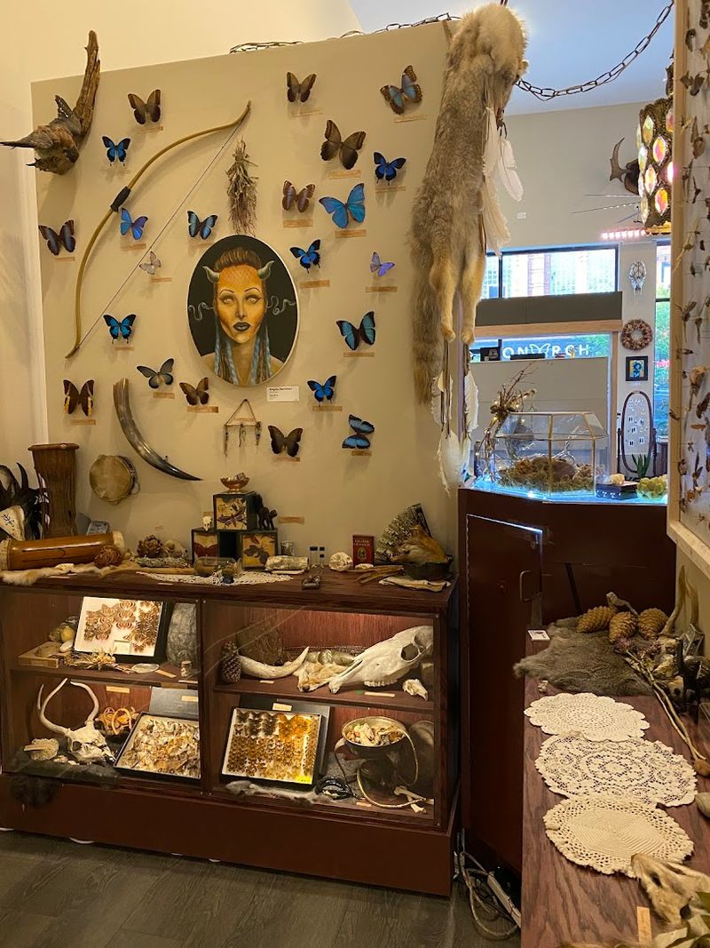 Events You Won’t Expect