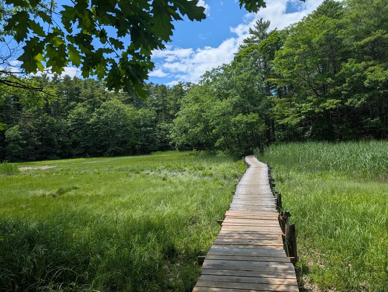 Fore River Sanctuary Trails, Portland