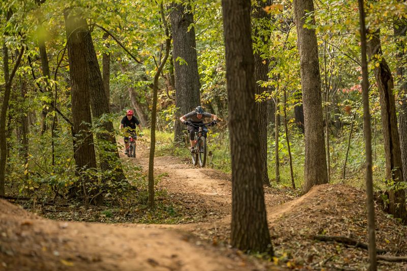 Ride From Rugged Lines Into Quiet Green Escape