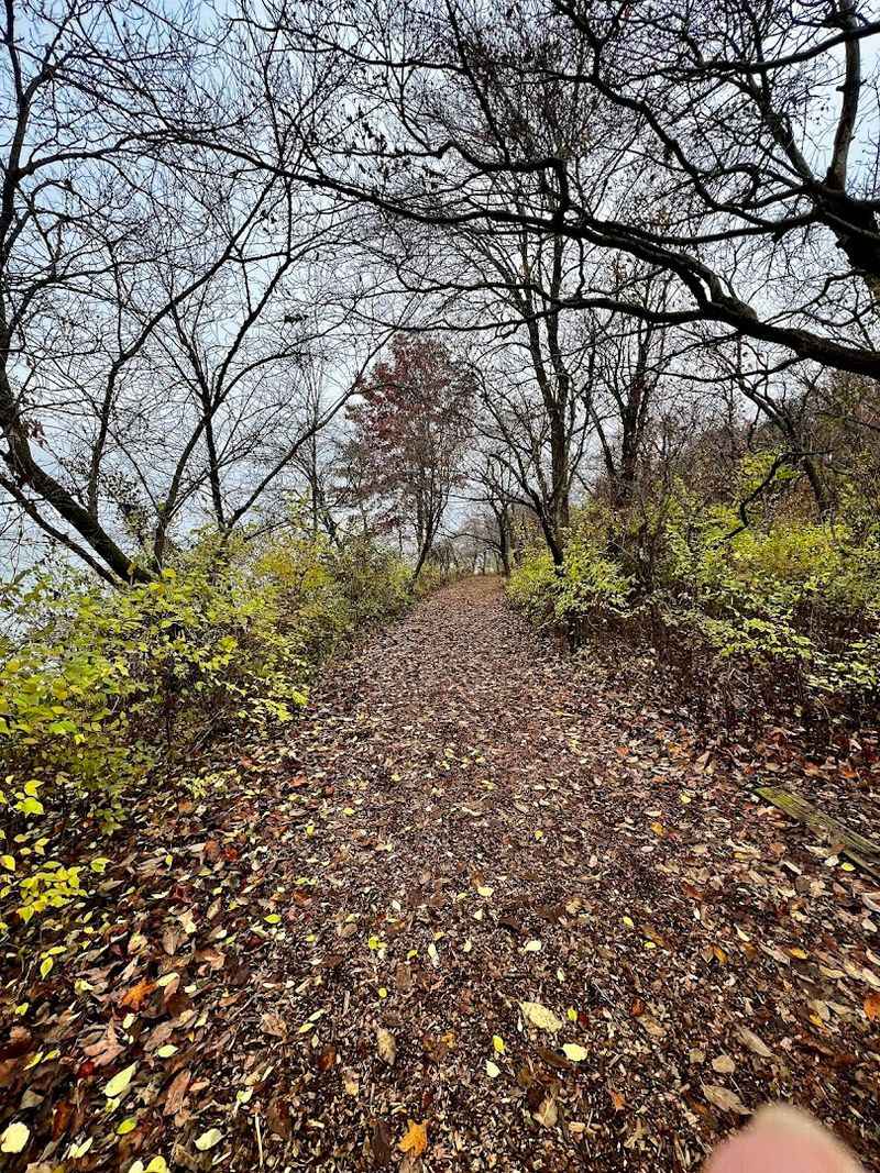 Lincoln Memorial Garden & Nature Center, Springfield