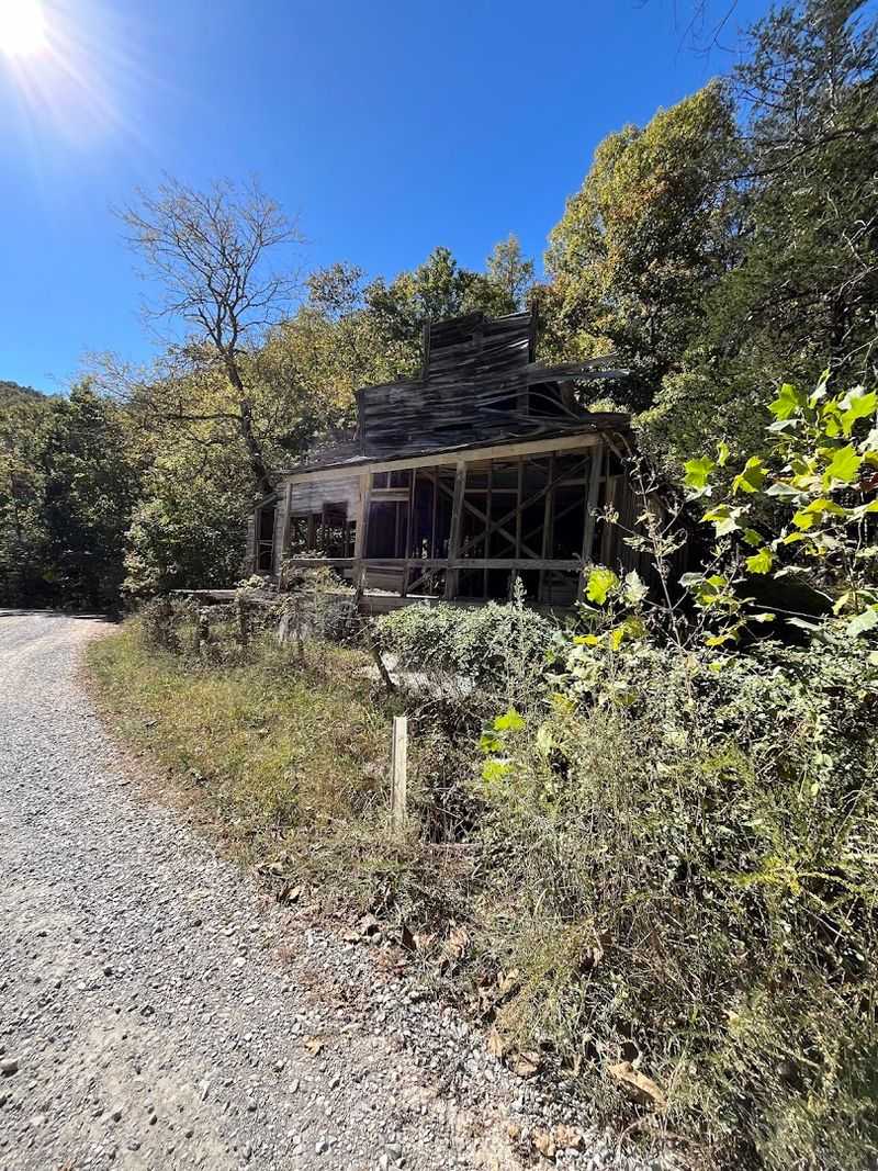Forest Paths With Ghost Town Silence