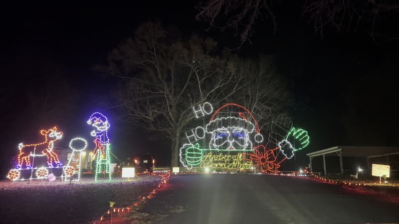 Forest Roads Wrapped In Holiday Light Forest Roads Wrapped In Holiday Light
