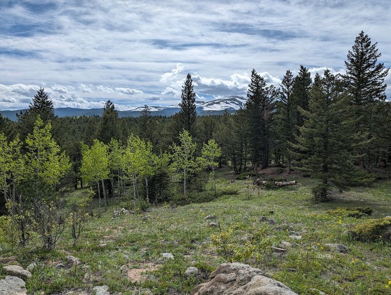 Forest Service and BLM Dispersed Camping on Colorado Public Lands