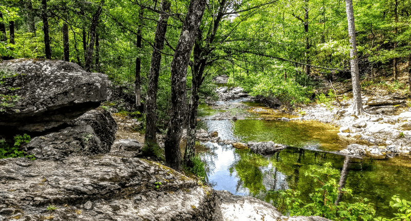 Forest Trails Beside Clear Mountain Water