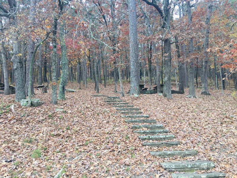 Forest Trails Near The Shore Forest Trails Near The Shore